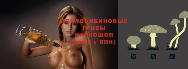 spice Ростов