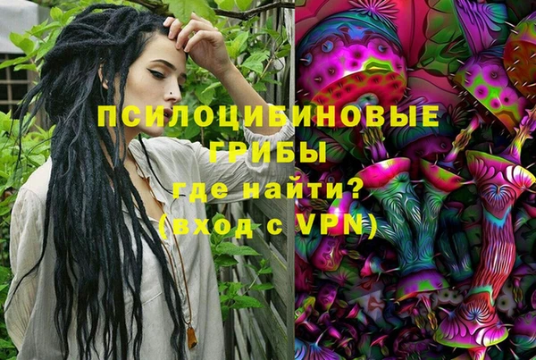 дурь Алексеевка