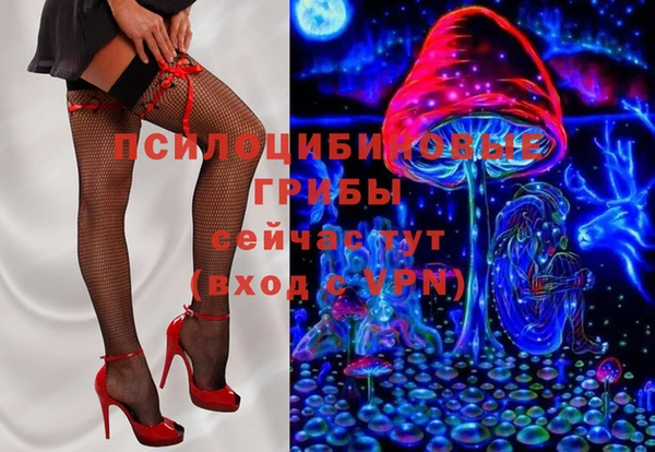 дурь Алексеевка