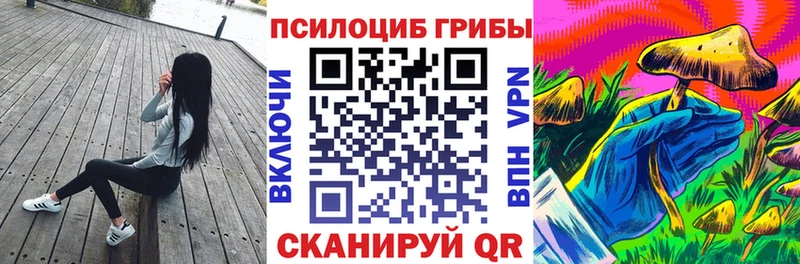 магазин продажи   Поронайск  Псилоцибиновые грибы мицелий 
